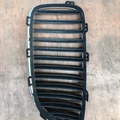 BMW F10 Grill (Left Side)